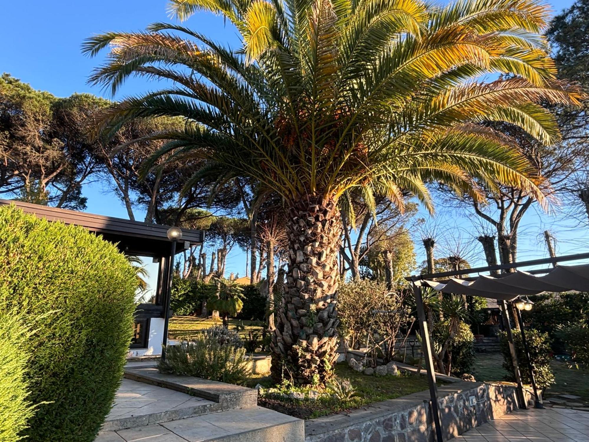 Villa Melita Gia Villa Marzia Campagnano Di Roma Exterior foto